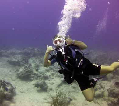 SIT Turks & Caicos Marine Studies