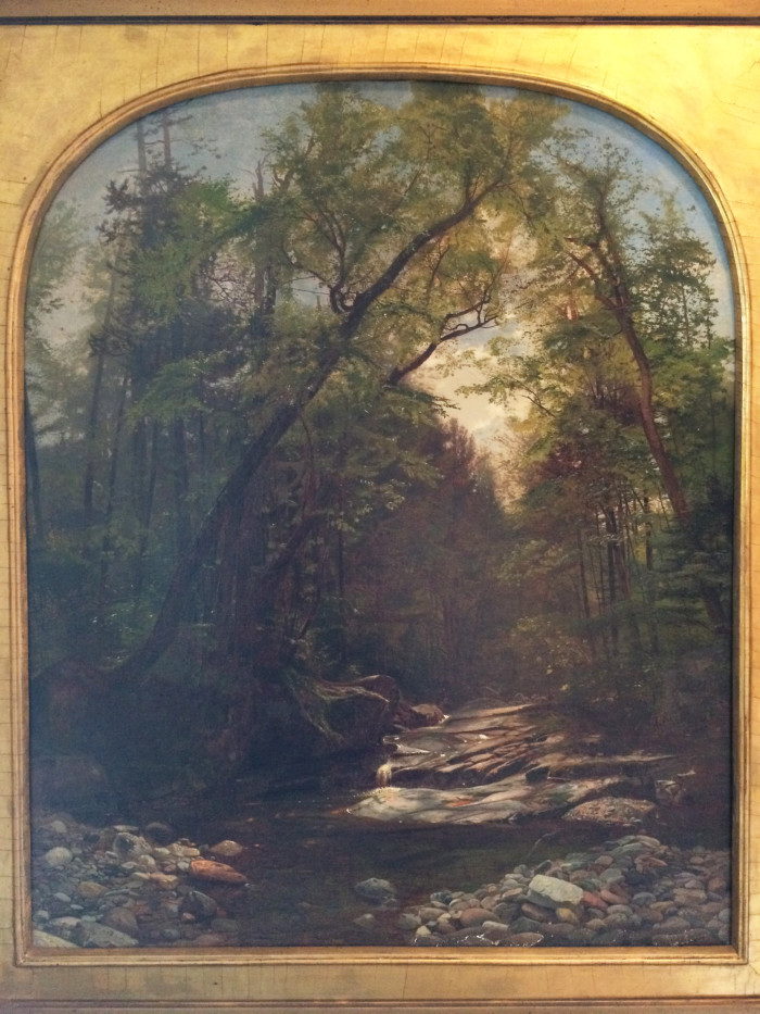 Forest scene with trees, water, rocks, and sky